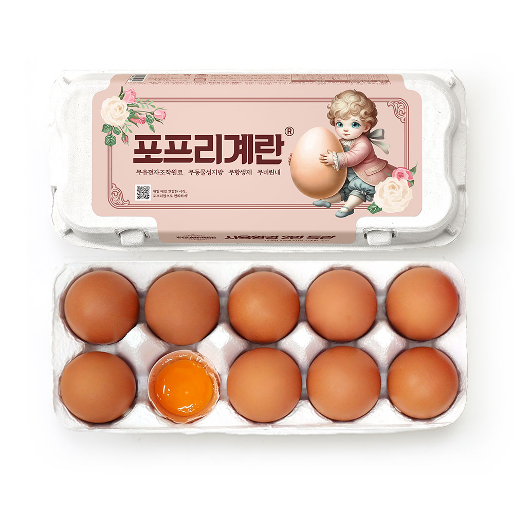 일반란2팩