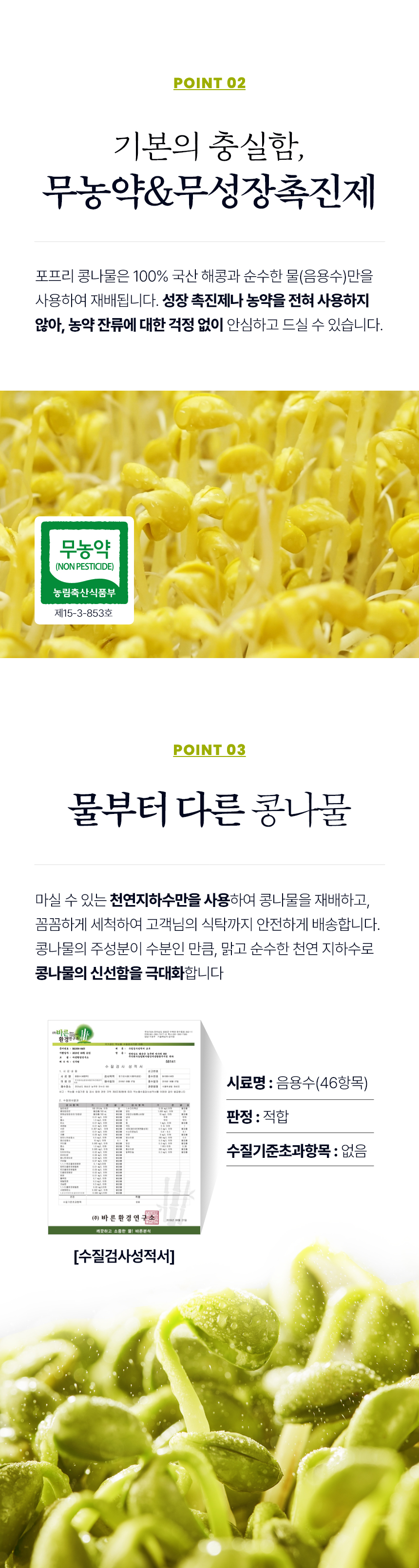 콩나물 상세설명